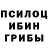 Псилоцибиновые грибы мухоморы Partiya