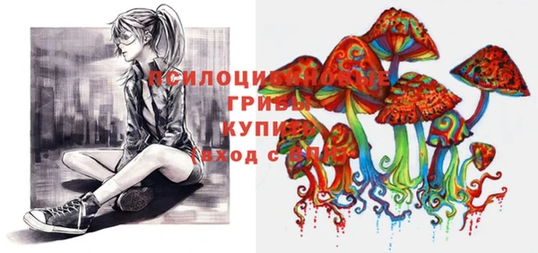 прущая мука Верея