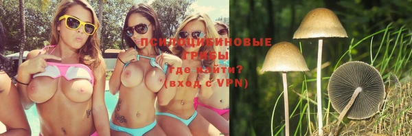прущая мука Верея